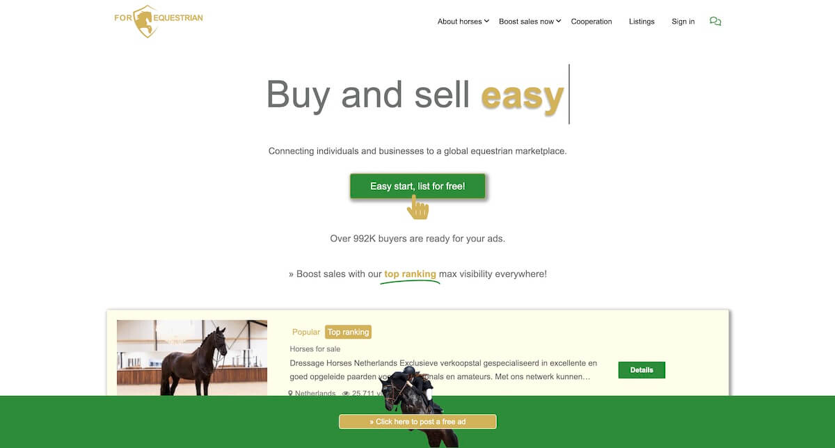 What is the best Website to Buy Horses?